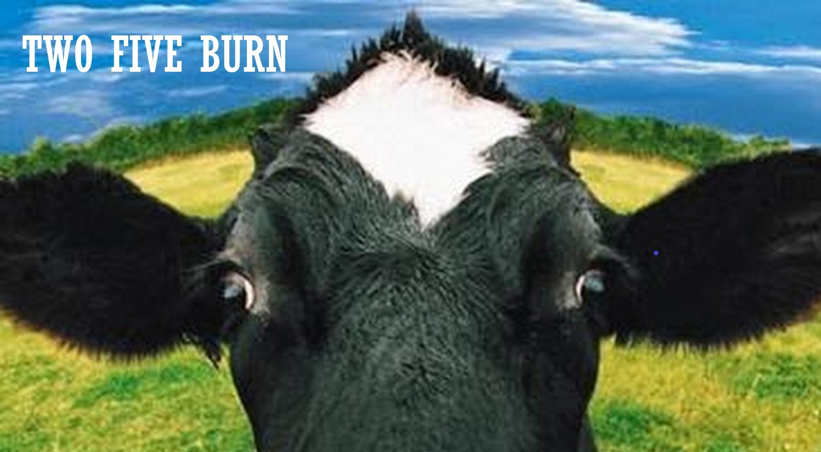 Tobacco album cover